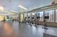 340 E Randolph Unit 4902, Chicago, IL 60601