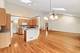 10899 Swallow Tail, Frankfort, IL 60423