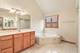 10899 Swallow Tail, Frankfort, IL 60423