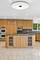 116 51st, Western Springs, IL 60558