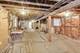 6624 S Rhodes, Chicago, IL 60637