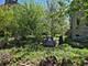 1839 W Touhy, Chicago, IL 60626