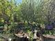 1839 W Touhy, Chicago, IL 60626
