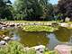 1N424 Indian Knoll, West Chicago, IL 60185