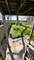4818 S Princeton, Chicago, IL 60609