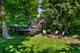 815 N Eagle, Naperville, IL 60563