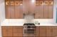 941 N Winchester Unit 1, Chicago, IL 60622