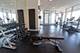 303 W Ohio Unit 3804, Chicago, IL 60654