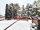 1776 Alan Deatherage, Bolingbrook, IL 60490