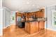 3712 Ryder, Naperville, IL 60564