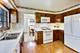 1719 Verde, Mount Prospect, IL 60056