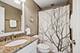 3900 Forest, Western Springs, IL 60558
