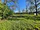 131 E Potter, Wood Dale, IL 60191