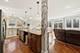 388 Preserve, Wood Dale, IL 60191