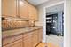 415 E North Water Unit 1901, Chicago, IL 60611