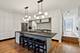 1319 N Sandburg, Chicago, IL 60610