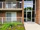 1104 Mercury Unit 1B, Schaumburg, IL 60193