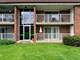 1104 Mercury Unit 1B, Schaumburg, IL 60193