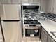 1104 Mercury Unit 1B, Schaumburg, IL 60193