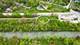 2152 Grey, Evanston, IL 60201