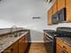 1151 W 14th Unit 137, Chicago, IL 60608