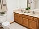 8125 S Prairie Park, Chicago, IL 60619