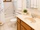 8125 S Prairie Park, Chicago, IL 60619