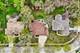 1105 Portsmouth, Gurnee, IL 60031
