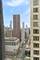 950 N Michigan Unit 2804, Chicago, IL 60611