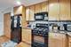 4915 W Gunnison Unit D, Chicago, IL 60630