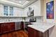 680 N Lake Shore Unit 219, Chicago, IL 60611