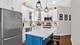 1131 W Wolfram Unit 2, Chicago, IL 60657