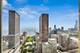 800 N Michigan Unit 4801, Chicago, IL 60611