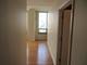 1111 S Wabash Unit 3303, Chicago, IL 60605