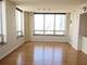 1111 S Wabash Unit 3303, Chicago, IL 60605