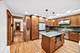 6046 N Nickerson, Chicago, IL 60631