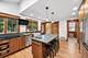6046 N Nickerson, Chicago, IL 60631