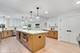 959 S Fern, Elmhurst, IL 60126