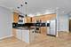 4105 S Drexel Unit 1SR, Chicago, IL 60653