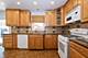 3008 W 110th, Chicago, IL 60655