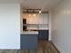 4250 N Marine Unit 2406, Chicago, IL 60613
