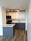 4250 N Marine Unit 2406, Chicago, IL 60613