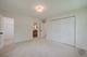 24340 Davids, Naperville, IL 60564