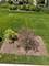 410 Mahogany, Algonquin, IL 60102