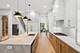 4846 N Hermitage, Chicago, IL 60640