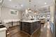 1924 W Farragut, Chicago, IL 60640