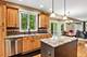 328 Ash Grove, Oswego, IL 60543