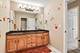 328 Ash Grove, Oswego, IL 60543