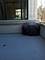 1919 S Michigan Unit 202, Chicago, IL 60616