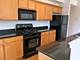 343 W Old Town Unit 309, Chicago, IL 60610